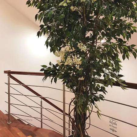 Villa Gondomar Gondomar